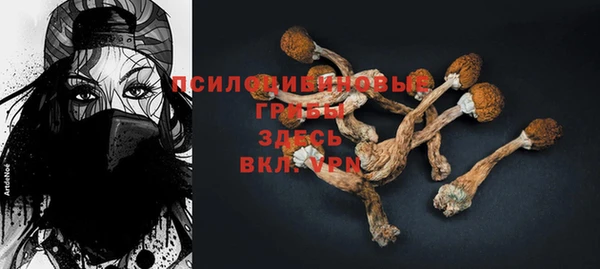 прущие грибы Алексин