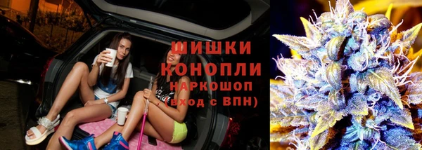 прущие грибы Алексин