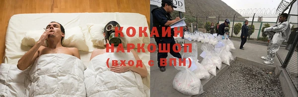 СК Алзамай