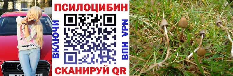Галлюциногенные грибы Magic Shrooms  Дятьково 
